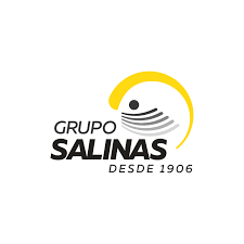 GRUPO SALINAS LOGO